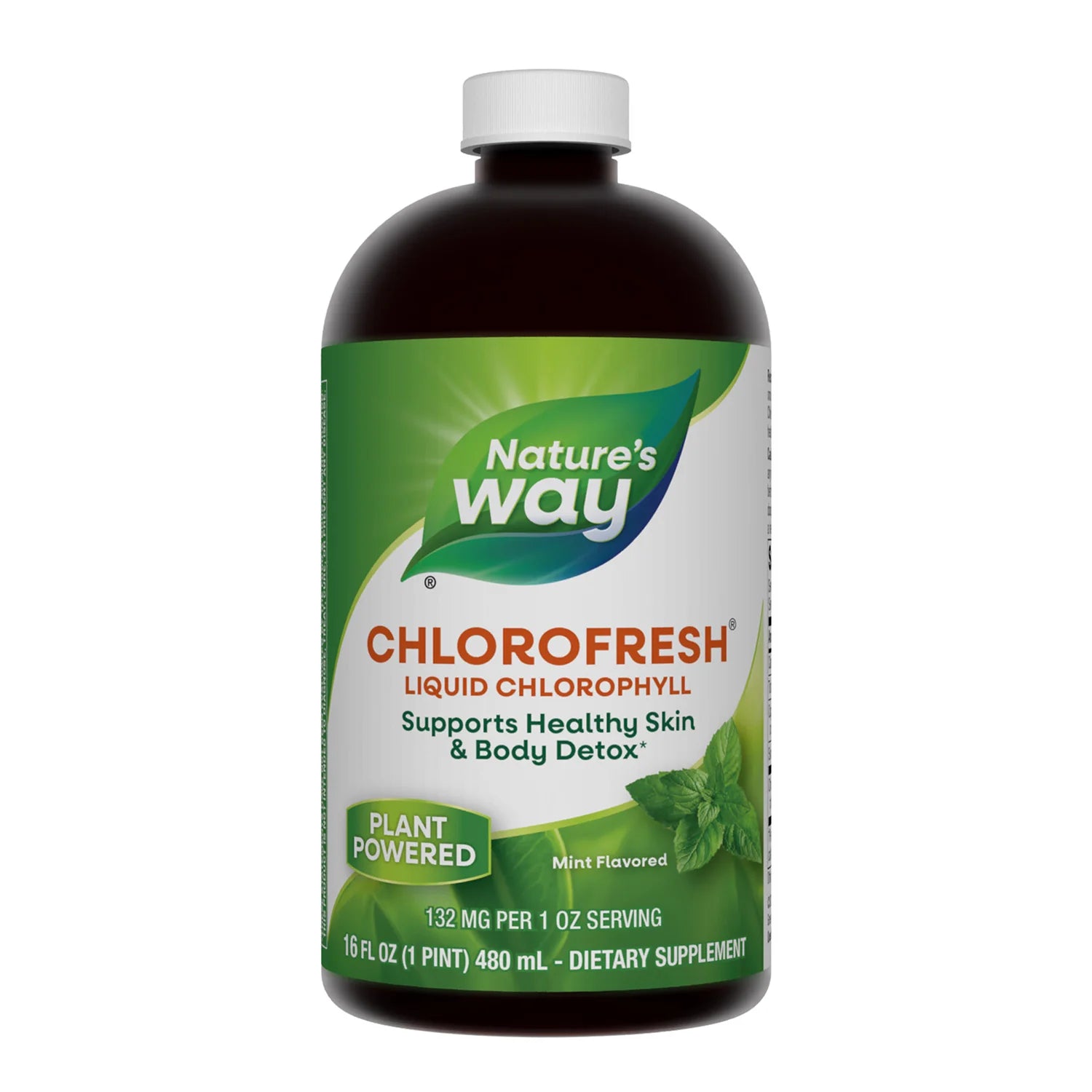 liquid chlorophyll for indoor plants Nature's Way Chlorophyll Syrup, Mint Flavor, 480ml – سوق واو