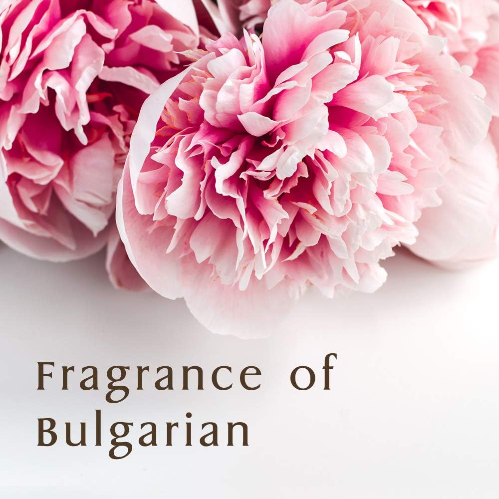 شامبو الترطيب العميق آند هوني 1.0 - 440 مل